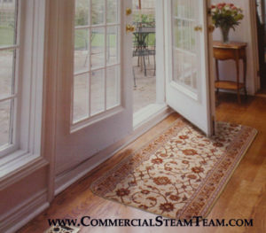 carpet runner cleaning burnsville